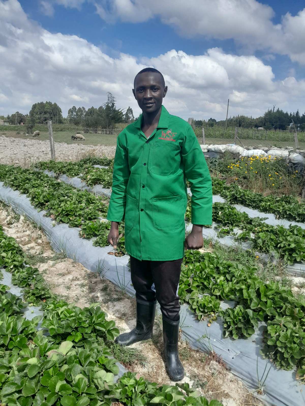 Farm activity 4